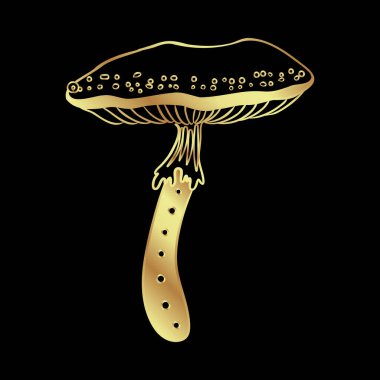 Magic mushrooms. Psychedelic hallucination. Gold vector illustration isolated on black. 60s hippie art. Coloring book for kids and adults.