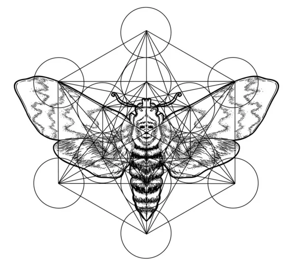 Zwart Witte Mot Heilige Geometrie Teken Geïsoleerde Vector Illustratie Tatoeëflitser — Stockvector