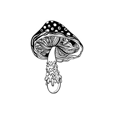 Sihirli mantarlar. Psikedelik halüsinasyon. Taslak vektör çizimi beyaza izole edildi. 60 'ların hippi sanatı. Çocuklar ve yetişkinler için boyama kitabı.