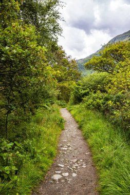 Güzel manzaralar, bozulmamış doğa, Glen Nevis, İskoçya 'da yürümek