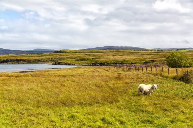 Breathtaking scenery as you travel the streets of the Isle of Skye, Scotland
