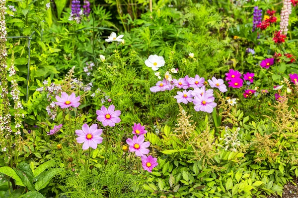 มมองท สวยงามของสวนของปราสาท Armadale ในเกาะสกาย สกอตแลนด — ภาพถ่ายสต็อก