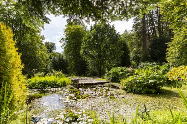 스코틀랜드 스카이 아르마 의정원의 아름다운 — 스톡 사진