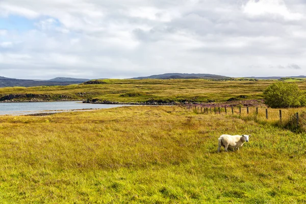 Breathtaking Scenery You Travel Streets Isle Skye Scotland —  Fotos de Stock
