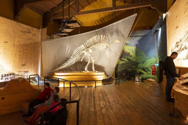 VENICE, İtalya 21 Şubat 2023: Venedik Doğal Tarih Müzesi Giancarlo Ligabue, İtalya