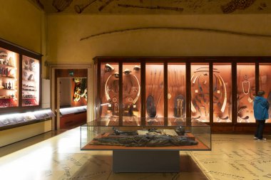 VENICE, İtalya 21 Şubat 2023: Venedik Doğal Tarih Müzesi Giancarlo Ligabue, İtalya