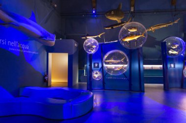 VENICE, İtalya 21 Şubat 2023: Venedik Doğal Tarih Müzesi Giancarlo Ligabue, İtalya