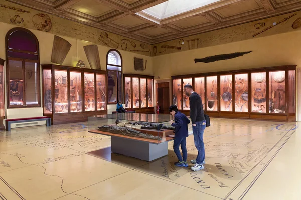 Venice Italië 2023 Februari Interieur Van Het Natuurhistorisch Museum Van — Stockfoto