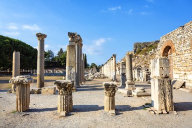 Türkiye 'nin güneybatısında çok önemli bir arkeoloji sahası olan Efes' in güzel manzarası