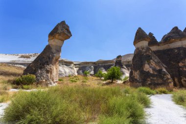 Pasabag, Goreme Vadisi 'ndeki ünlü peri bacaları, Kapadokya, Türkiye