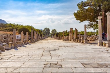 Beautiful view of Ephesus, a very important archaeological site in southwestern Turkey clipart