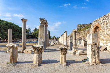 Türkiye 'nin güneybatısında çok önemli bir arkeoloji sahası olan Efes' in güzel manzarası