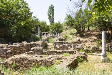 Aphrodisias, Türkiye 'nin Meander Vadisi' nde yer alan bir Yunan-Helenistik kentidir.