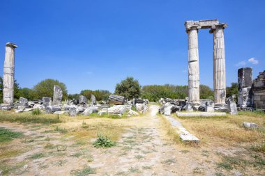 Aphrodisias, Türkiye 'nin Meander Vadisi' nde yer alan bir Yunan-Helenistik kentidir.