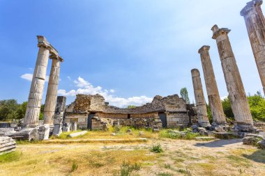 Aphrodisias, Türkiye 'nin Meander Vadisi' nde yer alan bir Yunan-Helenistik kentidir.