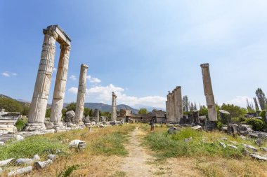 Aphrodisias, Türkiye 'nin Meander Vadisi' nde yer alan bir Yunan-Helenistik kentidir.