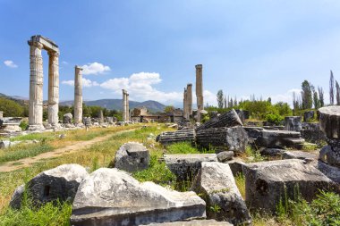 Aphrodisias, Türkiye 'nin Meander Vadisi' nde yer alan bir Yunan-Helenistik kentidir.