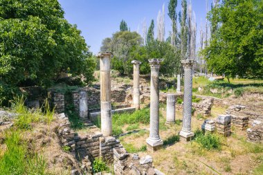 Aphrodisias is a Greco-Hellenistic city of Caria, in the Meander Valley, in Turkey clipart