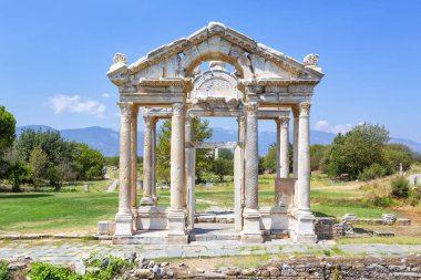Aphrodisias, Türkiye 'nin Meander Vadisi' nde yer alan bir Yunan-Helenistik kentidir.