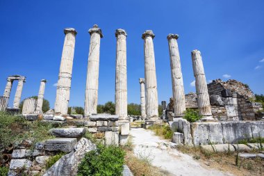 Aphrodisias, Türkiye 'nin Meander Vadisi' nde yer alan bir Yunan-Helenistik kentidir.