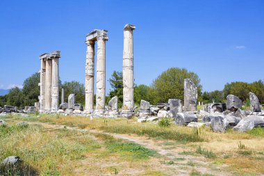 Aphrodisias, Türkiye 'nin Meander Vadisi' nde yer alan bir Yunan-Helenistik kentidir.