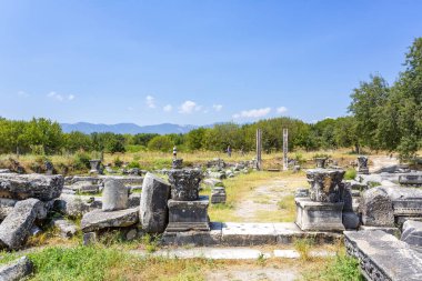 Aphrodisias, Türkiye 'nin Meander Vadisi' nde yer alan bir Yunan-Helenistik kentidir.