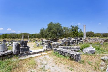 Aphrodisias, Türkiye 'nin Meander Vadisi' nde yer alan bir Yunan-Helenistik kentidir.