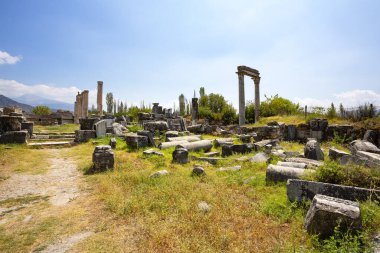 Aphrodisias, Türkiye 'nin Meander Vadisi' nde yer alan bir Yunan-Helenistik kentidir.