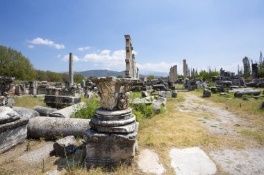 Aphrodisias, Türkiye 'nin Meander Vadisi' nde yer alan bir Yunan-Helenistik kentidir.