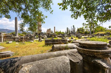 Aphrodisias, Türkiye 'nin Meander Vadisi' nde yer alan bir Yunan-Helenistik kentidir.