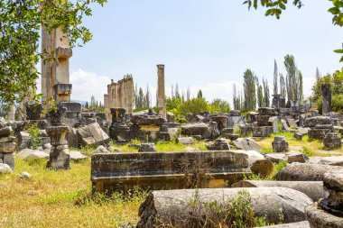 Aphrodisias, Türkiye 'nin Meander Vadisi' nde yer alan bir Yunan-Helenistik kentidir.