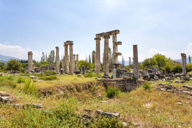 Aphrodisias, Türkiye 'nin Meander Vadisi' nde yer alan bir Yunan-Helenistik kentidir.