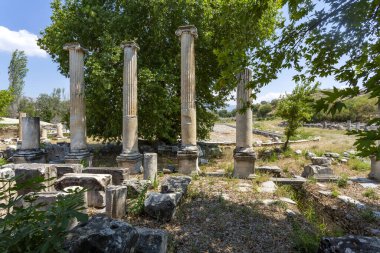 Aphrodisias, Türkiye 'nin Meander Vadisi' nde yer alan bir Yunan-Helenistik kentidir.