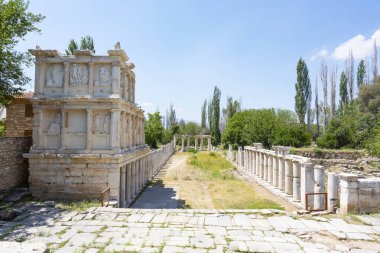 Aphrodisias, Türkiye 'nin Meander Vadisi' nde yer alan bir Yunan-Helenistik kentidir.