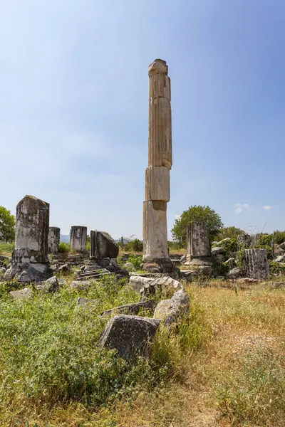 Aphrodisias, Türkiye 'nin Meander Vadisi' nde yer alan bir Yunan-Helenistik kentidir.