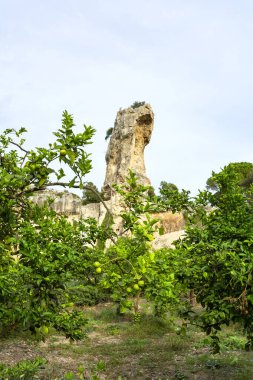 The garden area in the latomie area in the Archaeological Park of Syracuse, Sicily clipart