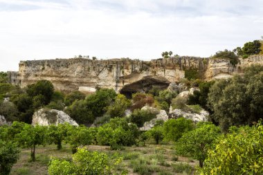 Sicilya, Syracuse Arkeoloji Parkı 'ndaki latomie bölgesindeki bahçe alanı.