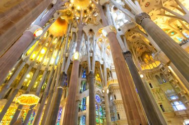 BARCELONA, İspanya 2024, Ocak 02: Barcelona 'daki Sagrada Familia' nın muhteşem iç mimarisi