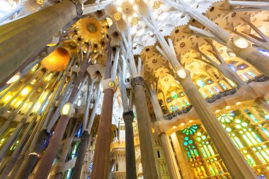 BARCELONA, İspanya 2024, Ocak 02: Barcelona 'daki Sagrada Familia' nın muhteşem iç mimarisi