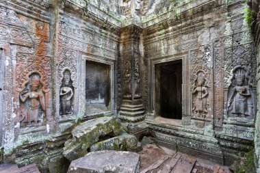 Ta Prohm tapınağının eski yapıları üzerinde dev ağaç kökleri yetişir.