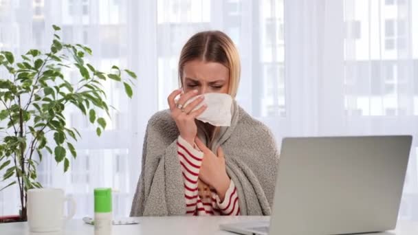Femeie Înfășurată Într Pătură Miroase Tusea Timp Lucrează Laptop Femeia — Videoclip de stoc