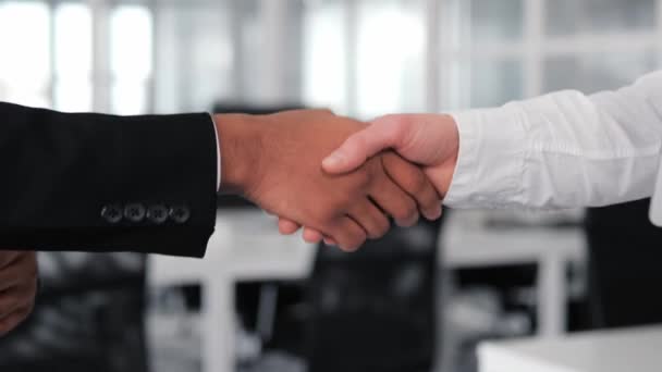 Close Handshake Agreement European Woman Indian Man Representing Multinational Office — Stock Video