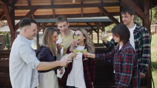 Barátok Koccintó Poharakat Tartanak Különböző Frissítő Italokat Isznak — Stock videók