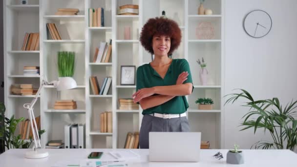 Smiling Successful African American Businesswoman Posing Office — Stock Video