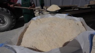 Kürekle çalışan çalışkan bir adam endüstriyel fabrikada büyük çuvallara odun kırıntıları topluyor. Koruyucu önlüklü güçlü erkek tahta işledikten sonra tahta yaratmak için torbaya atık koyuyor..