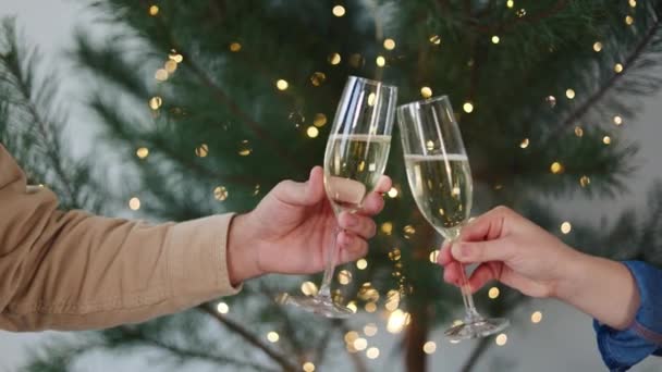 男性と女性は 美しく装飾されたクリスマスツリーの前で 乾杯のためにシャンパングラスを上品に育て 新年を一緒に祝います — ストック動画
