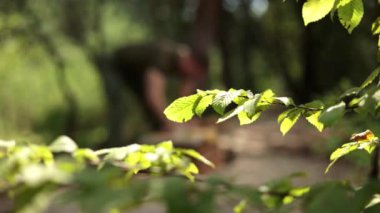 Odaklanamayan adam ormanda odun kesiyor, odaklı yapraklar ön planda, güneşli bir günde..