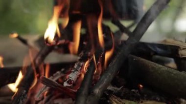 Pirinçle doldurulmuş kavrulmuş balkabağı, sotelenmiş sebze ve gölün yanındaki ateş çukurunda kurutulmuş kayısı pişirmek. Lezzetli bir sonbahar kamp ateşi. Açık hava maceraları için mükemmel..