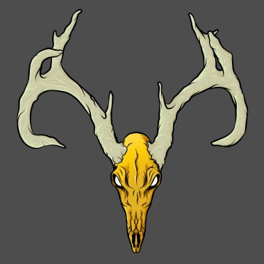 Deer skull on black background. Vector graphic.
