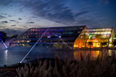 Wisley, Woking, Surrey, İngiltere - 19 Kasım 2022 'de RHS Garden Wisley, Woking, Surrey, İngiltere, İngiltere' de Noel Glow 2022